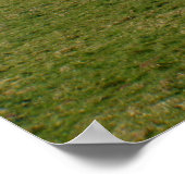 Poster Falaises blanches de l'île de Wight (Coin)