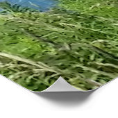 Poster Falaises de Block Island - Block Island, Rhode Isl (Coin)