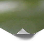 Poster Falcon (Coin)