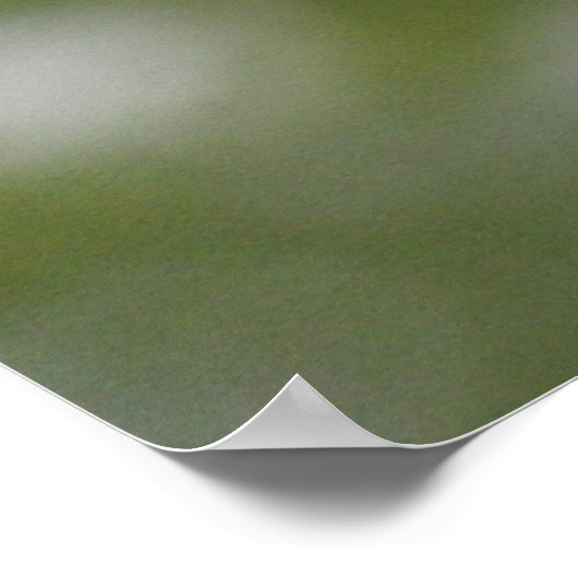 Poster Falcon (Coin)