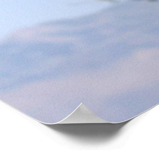 Poster Falcon (Coin)