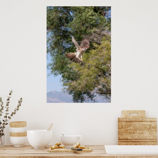 Poster Falcon (Cuisine)