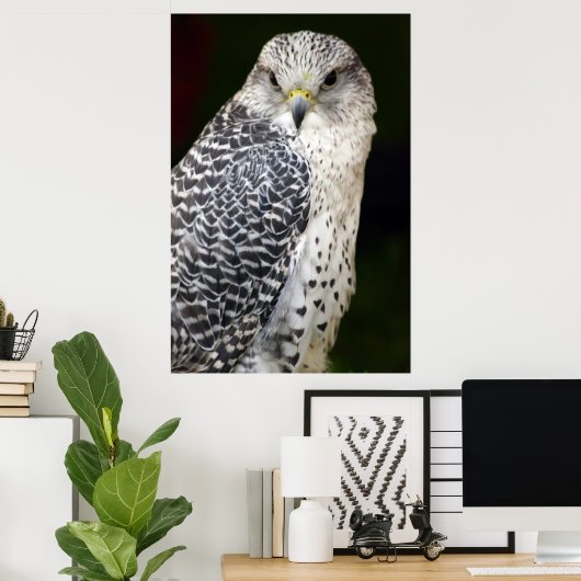Poster Falcon (Bureau à domicile)