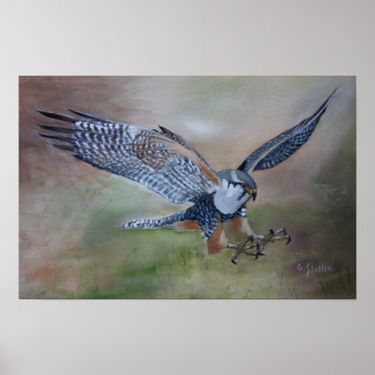 Poster Falcon (Devant)