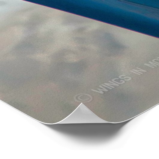 POSTER FALCON DE COMBAT F-16C (Coin)