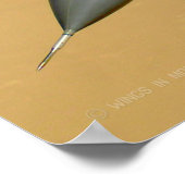 POSTER FALCON DE COMBAT F-16C (Coin)