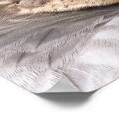POSTER FALCON MERLIN OISEAU DE PROIE (Coin)