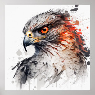 Poster Falcon Portrait Animal Peinture Faune En Plein Air