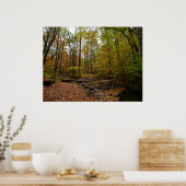 Poster Fall Creek à Laurel Hill State Park Pennsylvania (Cuisine)