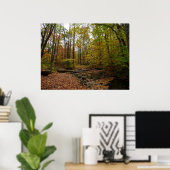 Poster Fall Creek à Laurel Hill State Park Pennsylvania (Bureau à domicile)
