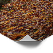 Poster Fall Creek à Laurel Hill State Park Pennsylvania (Coin)