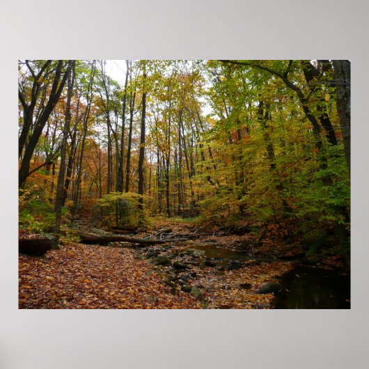 Poster Fall Creek à Laurel Hill State Park Pennsylvania (Devant)