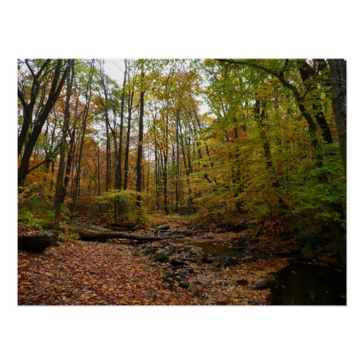 Poster Fall Creek à Laurel Hill State Park Pennsylvanie (Devant)