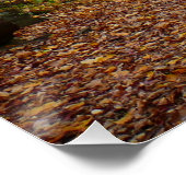Poster Fall Creek à Laurel Hill State Park Pennsylvanie (Coin)