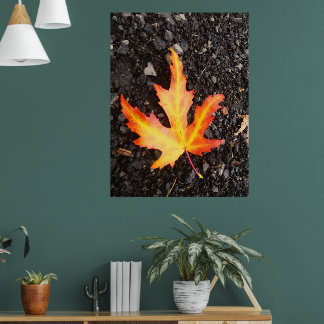 Poster Fall Leaf Bright version de l'image. Restiq.