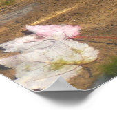 Poster Fall Leaves in Pond Water Nature Photography (Coin)