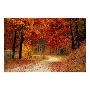 Poster Fall Leaves Woods Bois Autumn Forest Mariage