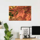 Poster Fall Maple Feuille HDR (Bureau à domicile)