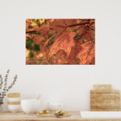 Poster Fall Maple Feuille HDR (Cuisine)