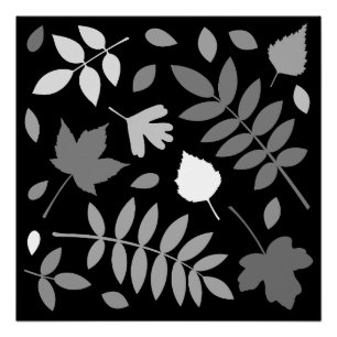 Poster Fallen Feuille Design Gris Blanc Noir