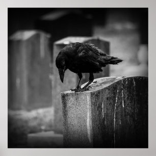Poster Falln Cemetery Crow