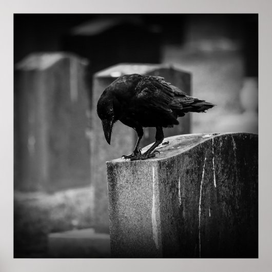 Poster Falln Cemetery Crow (Devant)