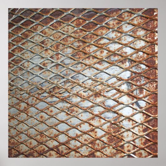 Poster Falln Rusty Grate (Devant)