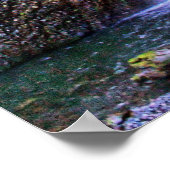 Poster Falls HDR - (Coin)