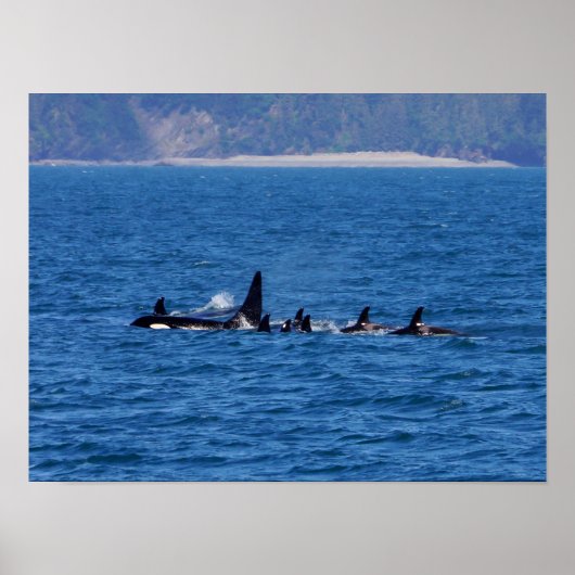 Poster Families Stick Together (Devant)