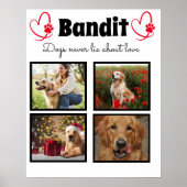 Poster Famille 4 photo collage de chien customisé (Devant)