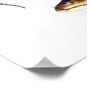 Poster Famille Catfish (Coin)