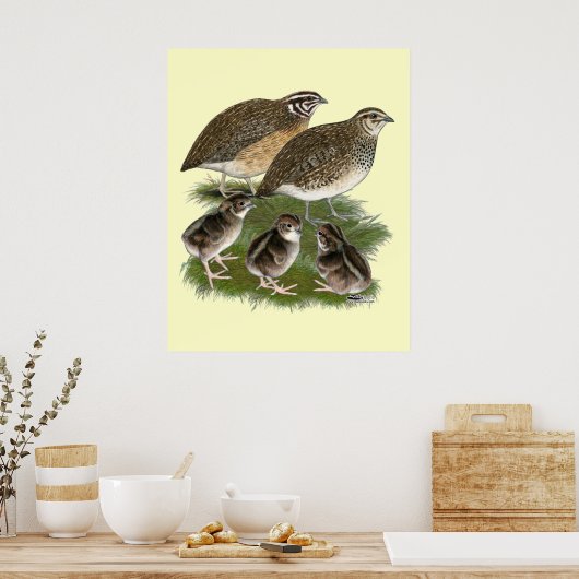Poster Famille Coturnix Quail (Cuisine)