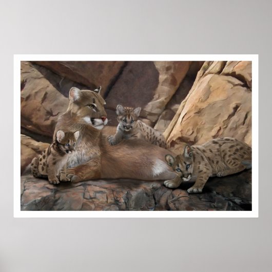 Poster Famille Cougar (Devant)