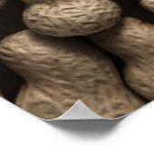 Poster Famille d'arachide (Coin)