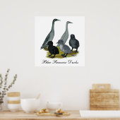 Poster Famille de canards coureurs bleus (Cuisine)