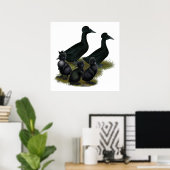 Poster Famille de canards noirs en cage (Bureau à domicile)