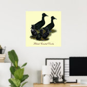 Poster Famille de canards noirs en cage (Bureau à domicile)