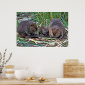 Poster Famille de castors (Cuisine)