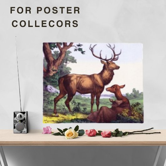 Poster Famille de cerfs Vintage