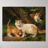 Poster Famille de chat Jouer | Julius Adam le Jeune (Devant)
