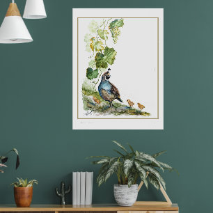 Poster Famille de colins de Californie à l'aquarelle orig
