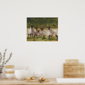 Poster Famille de moutons (Cuisine)