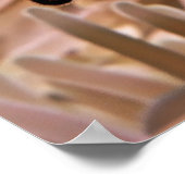 Poster Famille de poissons clowns (Coin)