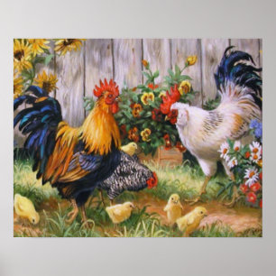 Poster Famille de poulet