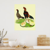 Poster Famille de poulet Aseel Wheaten (Cuisine)