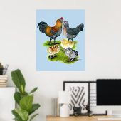 Poster Famille de poulets Ameraucana (Bureau à domicile)