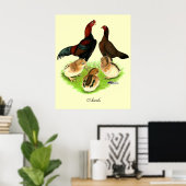 Poster Famille de poulets Aseel Black Red (Bureau à domicile)