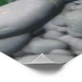 Poster Famille de Renard Adorable (Coin)