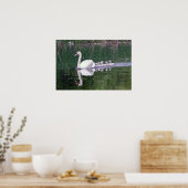 Poster Famille De Swans (Cuisine)