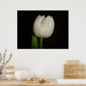 Poster Famille de tulipes blanches : Liliacées, Espèce :  (Cuisine)